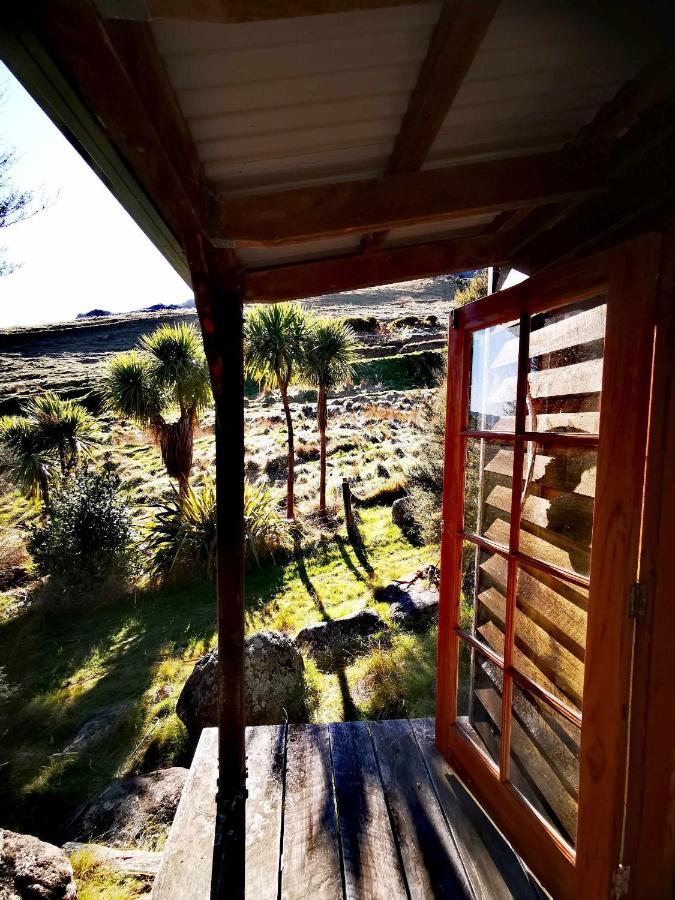 כרייסטצ'רץ' Manaaki Mai, Rustic Retreat Bush Cabin מראה חיצוני תמונה