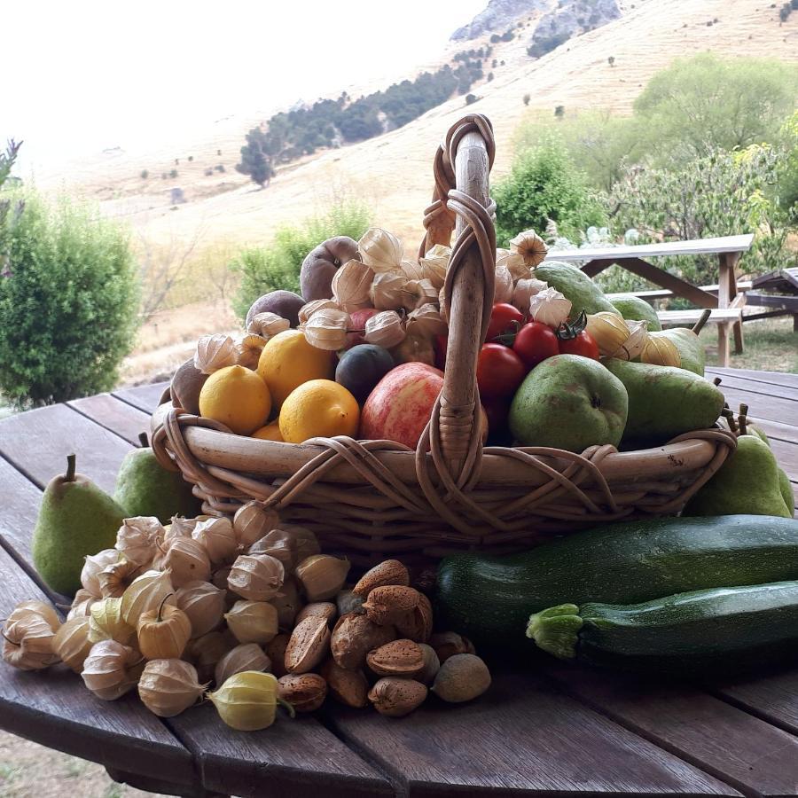 כרייסטצ'רץ' Manaaki Mai, Rustic Retreat Bush Cabin מראה חיצוני תמונה